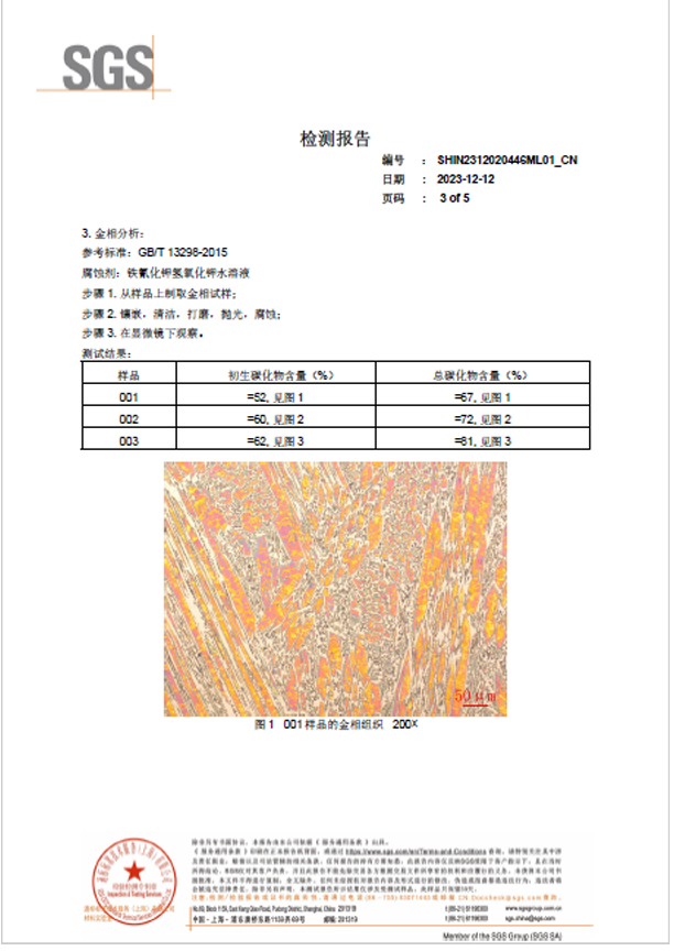 SGS Test Report