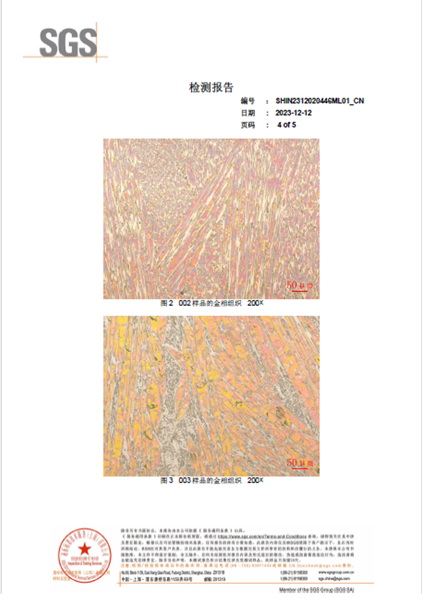 SGS Test Report