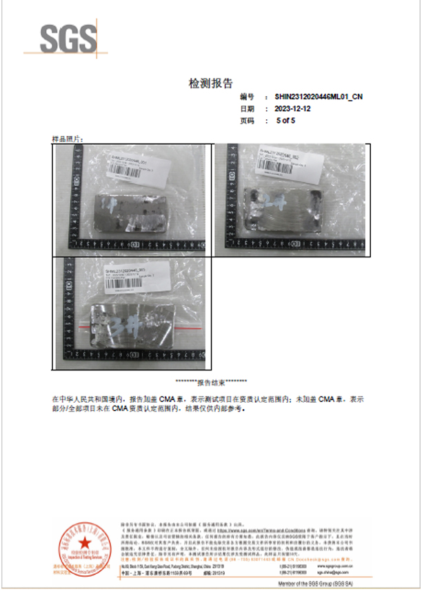 SGS Test Report